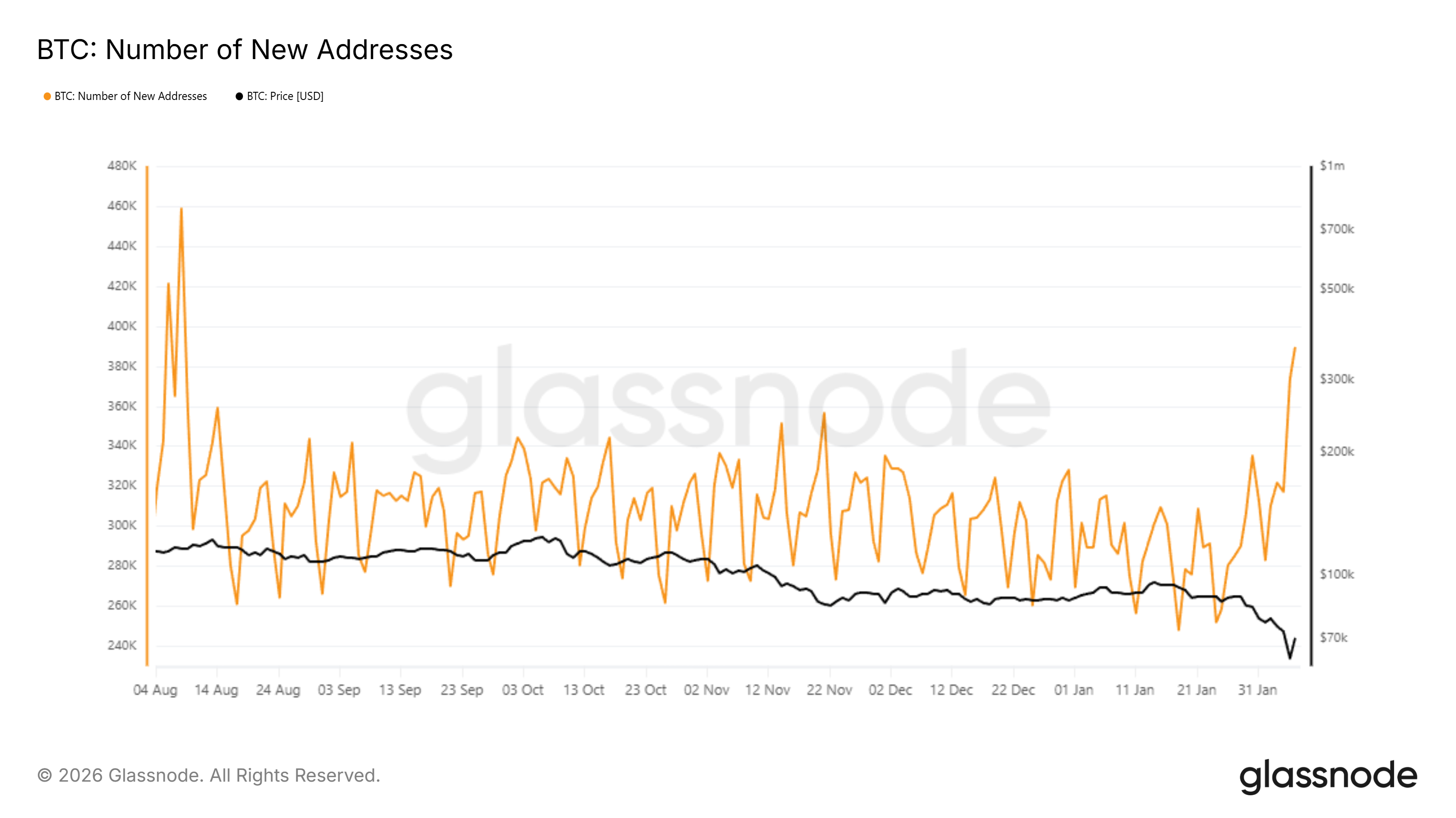 Bitcoin New Addresses