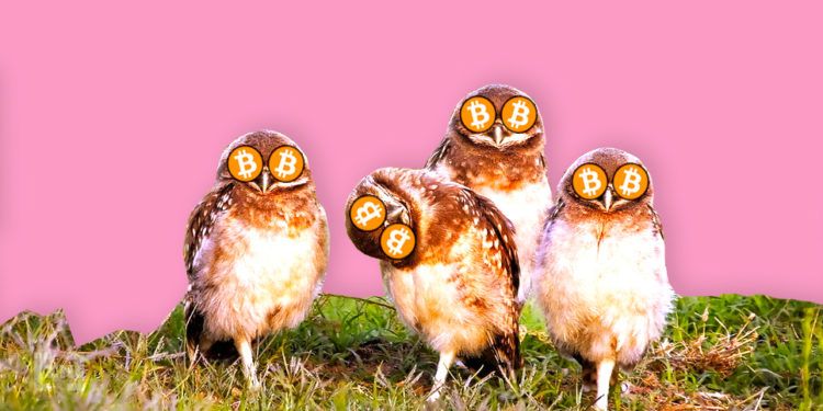 Qu’arrivera-t-il au Bitcoin si les actions continuent de chuter ?