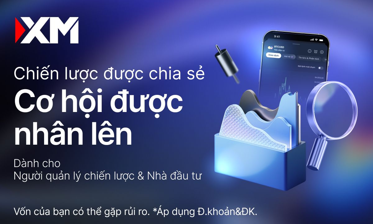 Nơi Nhà Đầu Tư Và Trader Kết Nối Qua Chiến Lược Và Cơ Hội Được Nhân Rộng