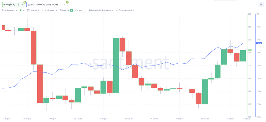 Can Bitcoin Cash Whales Push the Price Rally Toward $300? | Whales Wallet Balances,
