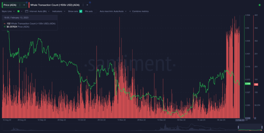 Wieloryby na Cardano
