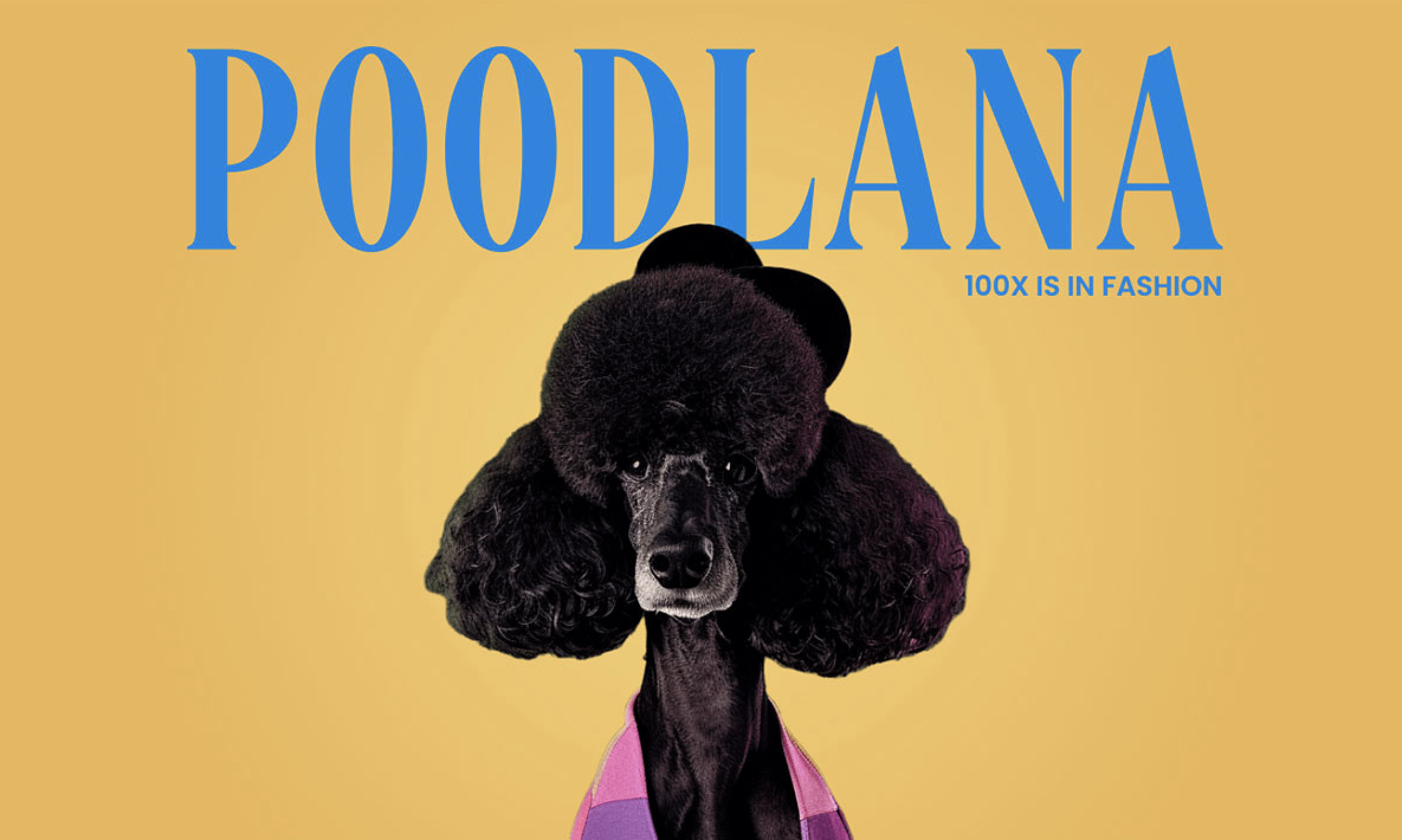Poodlana (POODL) chuẩn bị ra mắt. Bạn đã sẵn sàng để đón nhận cơ hội đầu tư tiềm năng này?