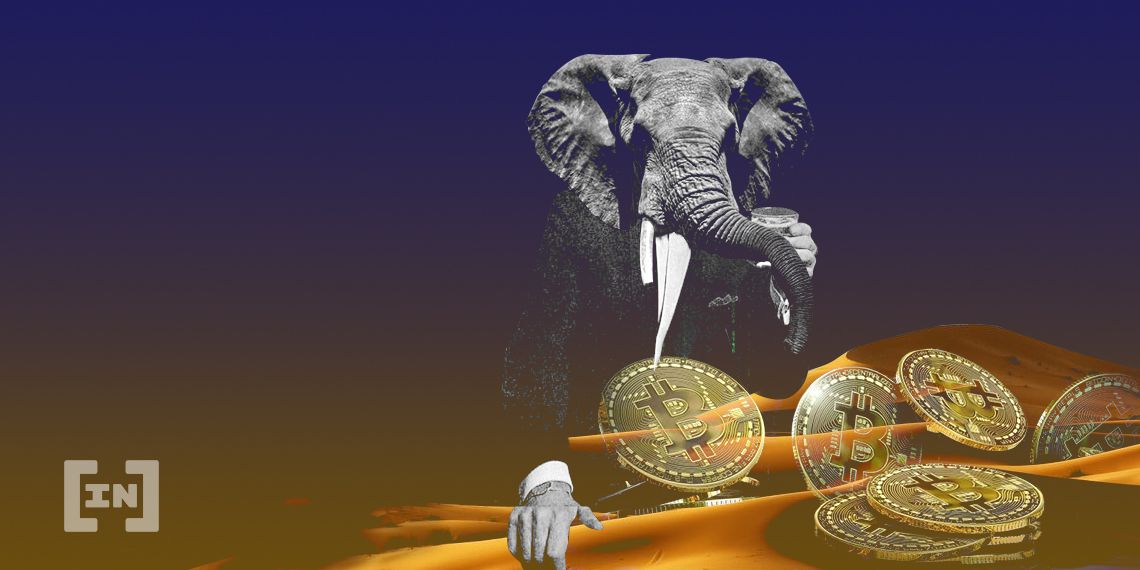 Kryptowährungen in Afrika – ein kleiner Gigant?