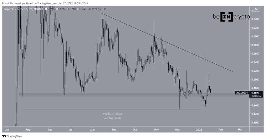 Dzienny wykres Dogecoin