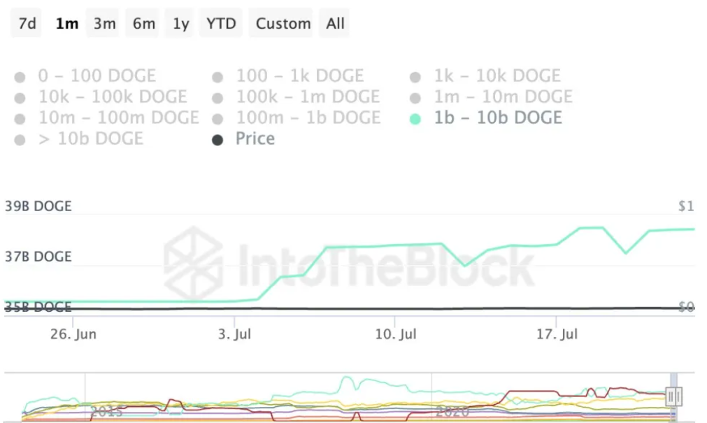 Dogecoin Wale akkumulieren DOGE