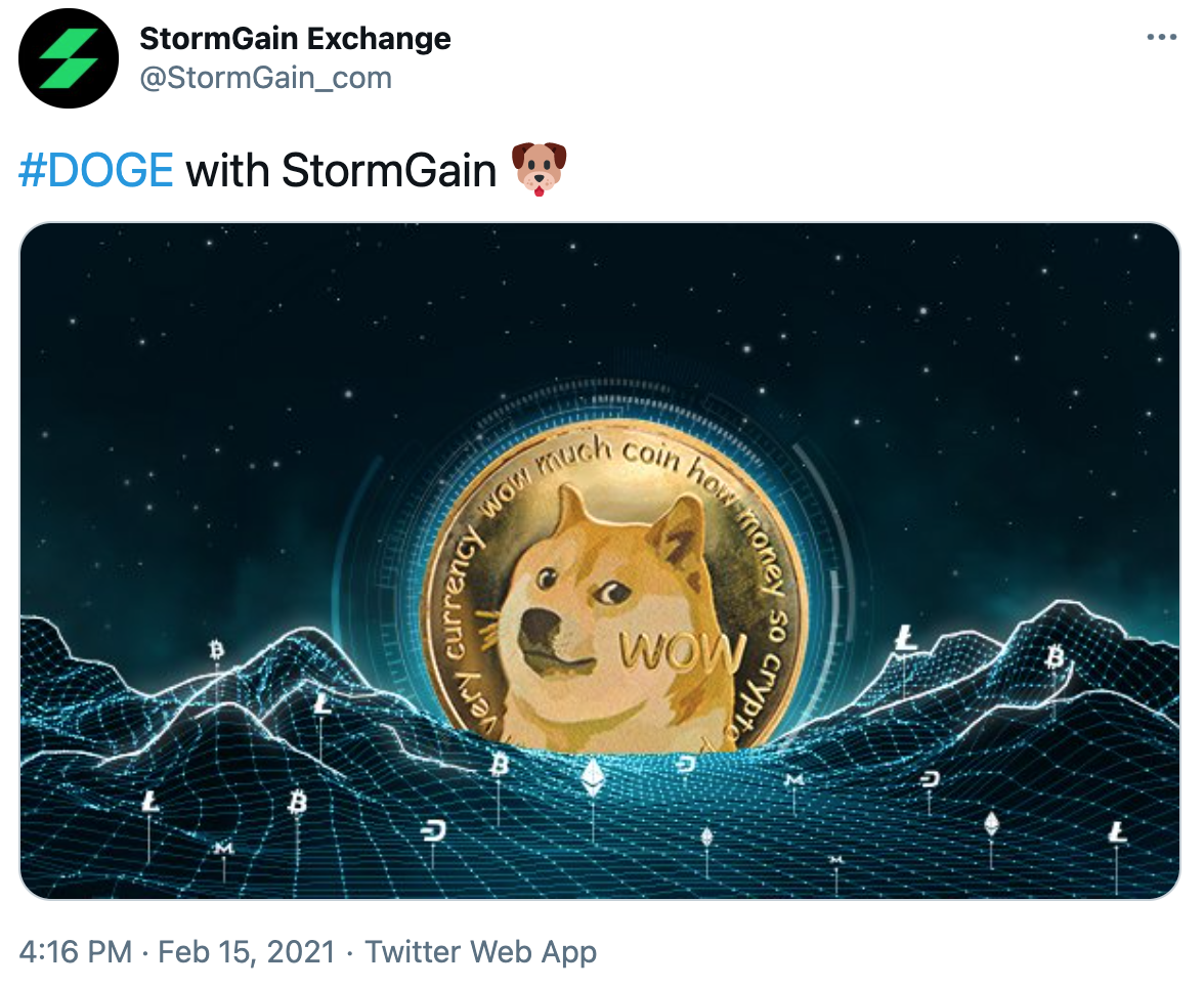 Dogecoin Stormgain