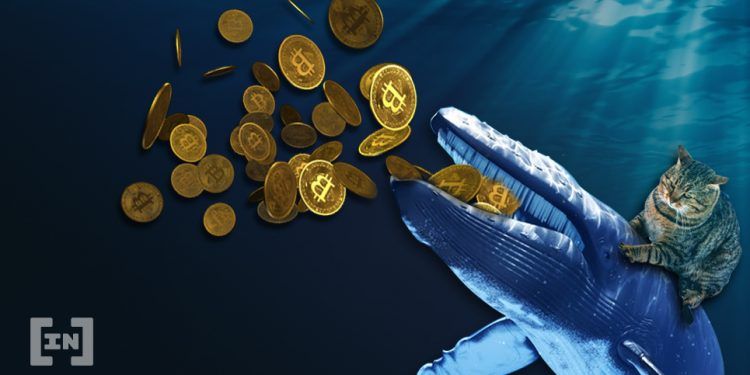 Wzmożony ruch wielorybów BTC po halvingu