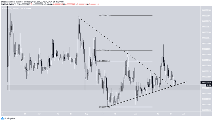 RVN Price Movement