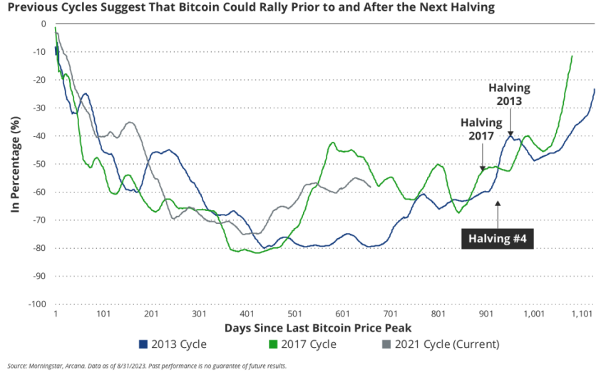 VanEck bullish on institutional Bitcoin investments around the halving