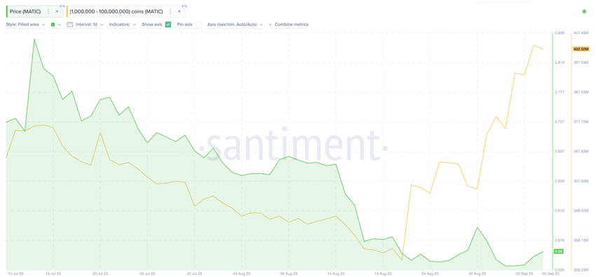 Will Polygon (MATIC) Price React to Whales’ Buying Spree | Whales Wallet Balances, Sept 2023.